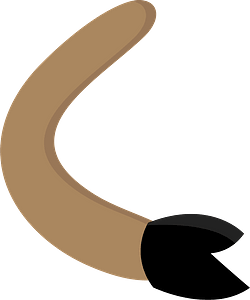 Bull Barney Arm