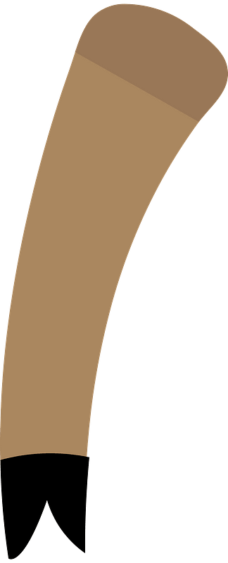 Bull Barney Leg