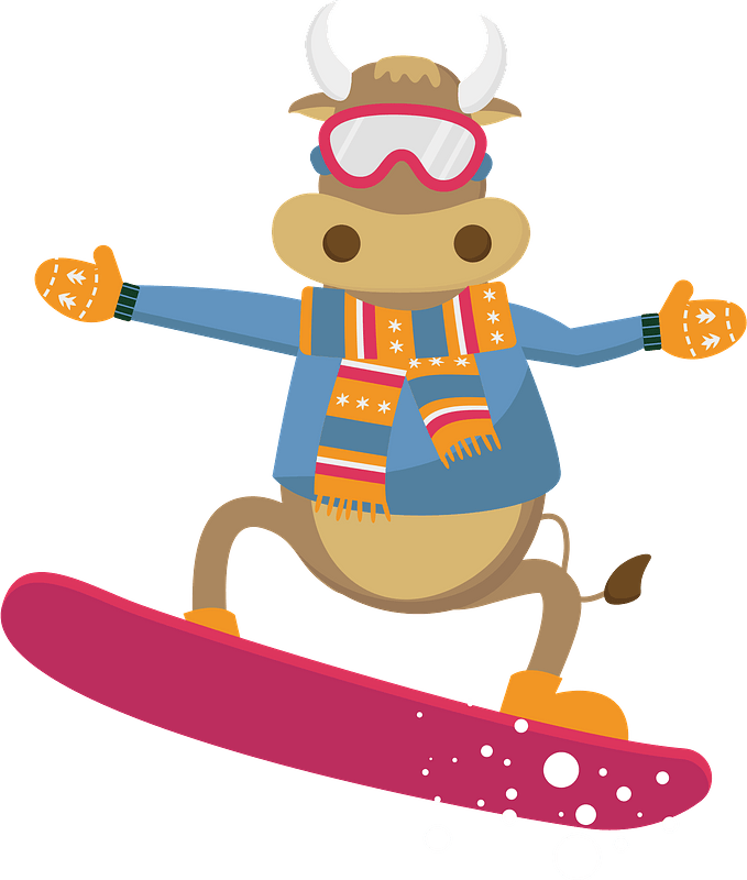 Bull on a snowboard