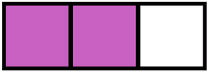 Magenta Rectangle Fraction 2:3
