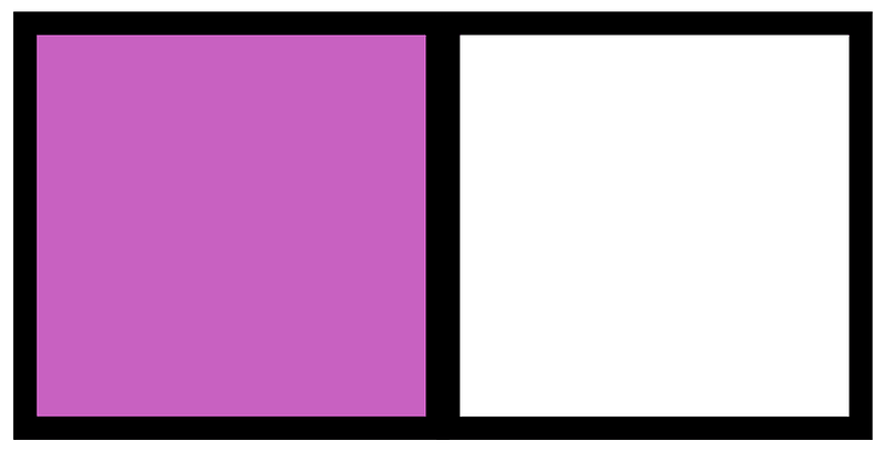 Magenta Rectangle Fraction 1:2