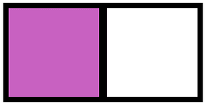 Magenta Rectangle Fraction 1:2