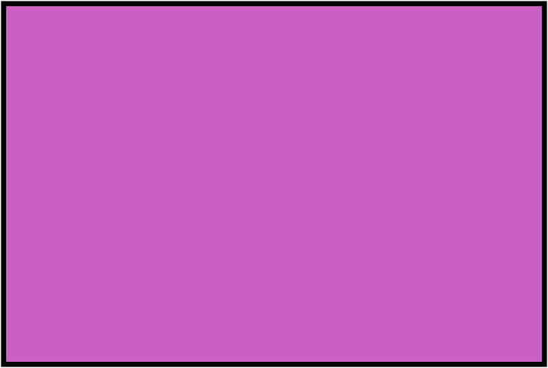 Magenta Rectangle Fraction 1:1