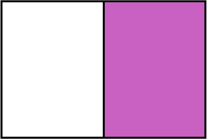 Magenta Rectangle Fraction 1:2