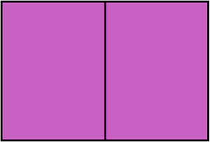 Magenta Rectangle Fraction 2:2