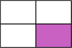 Magenta Rectangle Fraction 1:4