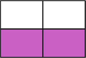 Magenta Rectangle Fraction 2:4
