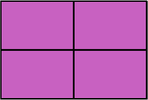 Magenta Rectangle Fraction 4:4
