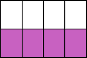 Magenta Rectangle Fraction 4:8