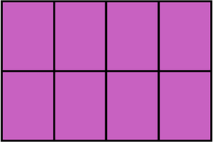 Magenta Rectangle Fraction 8:8