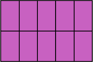 Magenta Rectangle Fraction 10:10