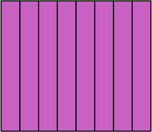Magenta Rectangle Fraction 8:8