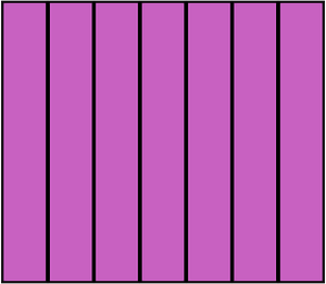 Magenta Rectangle Fraction 7:7