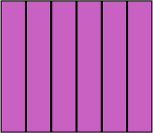 Magenta Rectangle Fraction 6:6