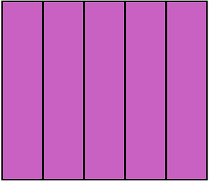 Magenta Rectangle Fraction 5:5