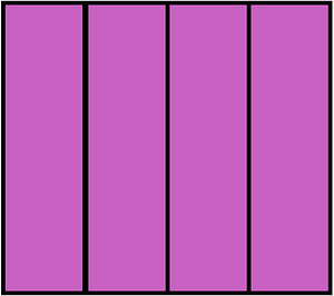 Magenta Rectangle Fraction 4:4