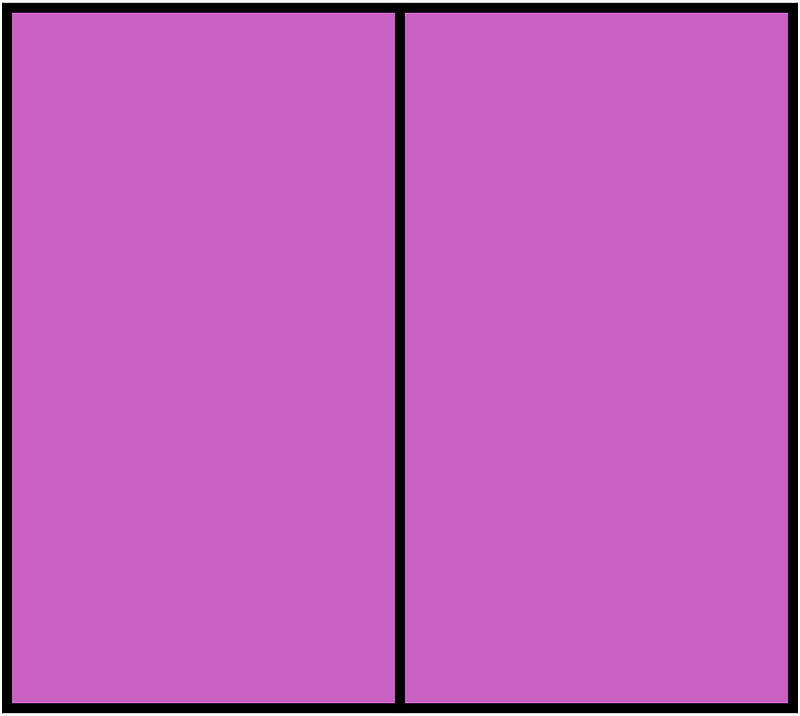 Magenta Rectangle Fraction 2:2