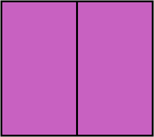 Magenta Rectangle Fraction 2:2