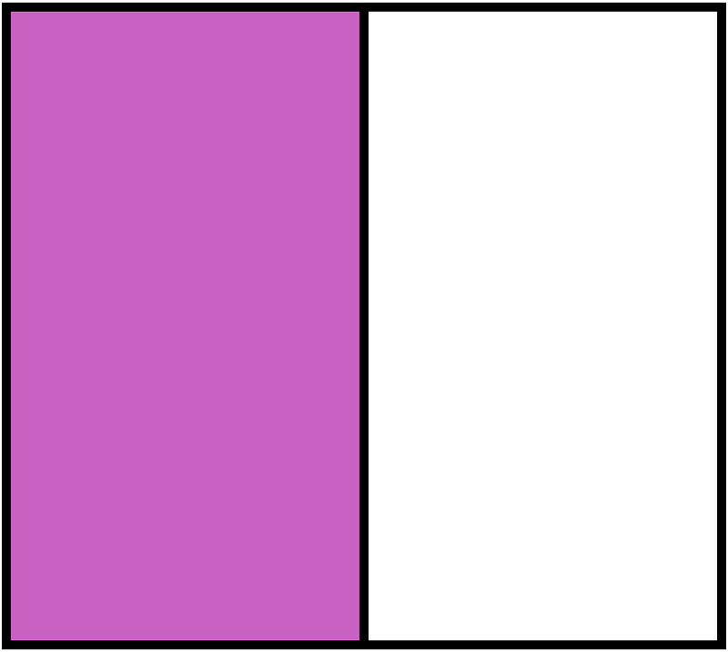 Magenta Rectangle Fraction 1:2
