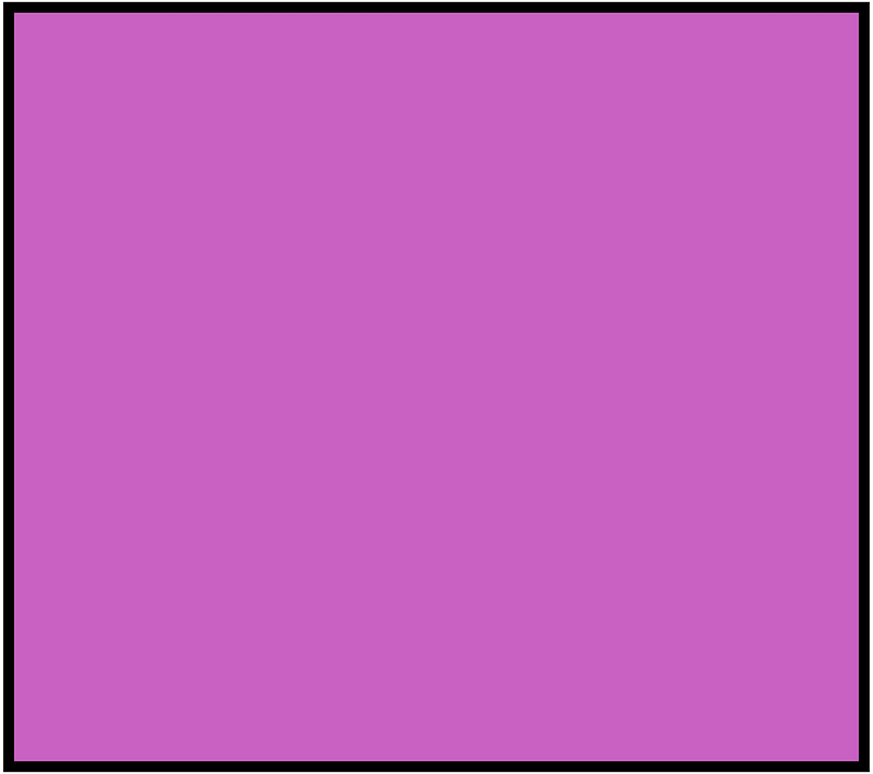 Magenta Rectangle Fraction 1:1