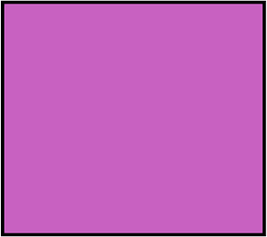 Magenta Rectangle Fraction 1:1
