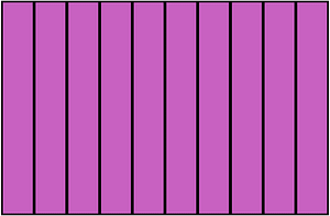 Magenta Rectangle Fraction 10:10