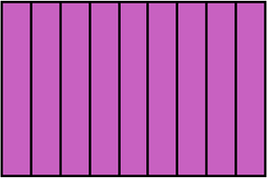 Magenta Rectangle Fraction 9:9