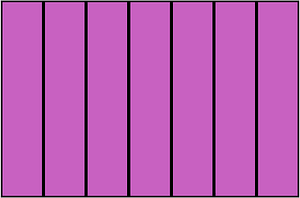 Magenta Rectangle Fraction 7:7