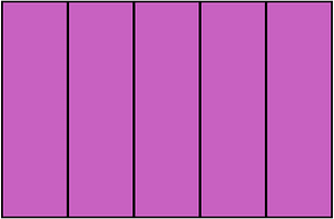 Magenta Rectangle Fraction 5:5