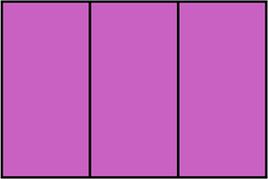Magenta Rectangle Fraction 3:3