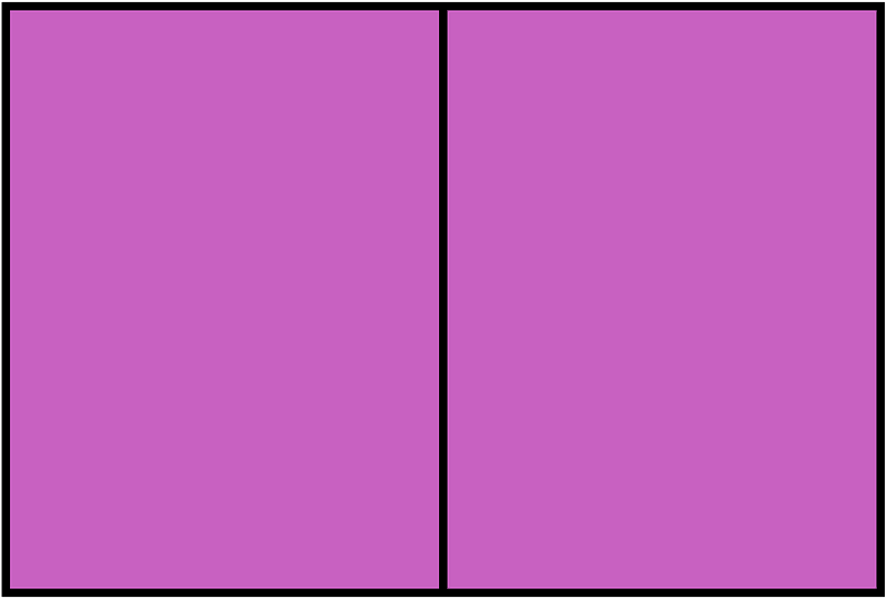 Magenta Rectangle Fraction 2:2