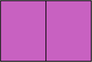 Magenta Rectangle Fraction 2:2