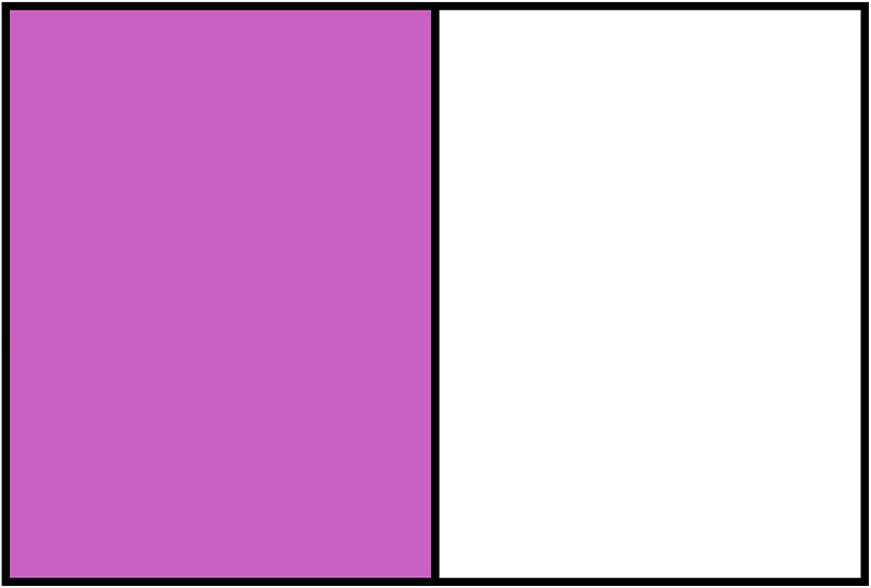 Magenta Rectangle Fraction 1:2
