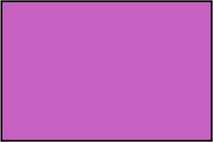 Magenta Rectangle Fraction 1:1