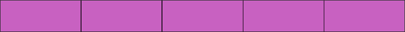 Magenta Rectangle Fraction 5:5