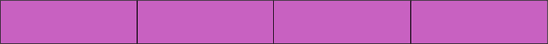 Magenta Rectangle Fraction 4:4