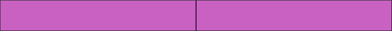 Magenta Rectangle Fraction 2:2
