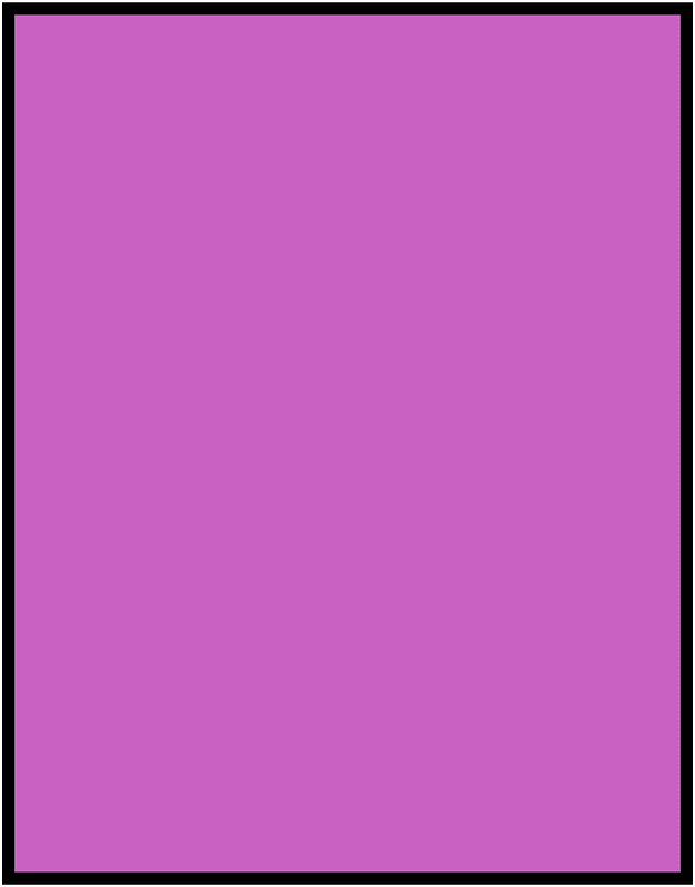 Magenta Rectangle Fraction 1:1