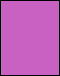 Magenta Rectangle Fraction 1:1
