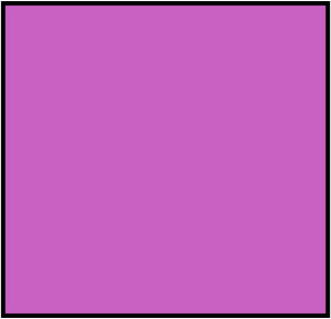 Magenta Rectangle Fraction 1:1