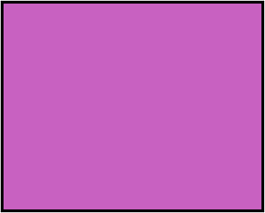 Magenta Rectangle Fraction 1:1