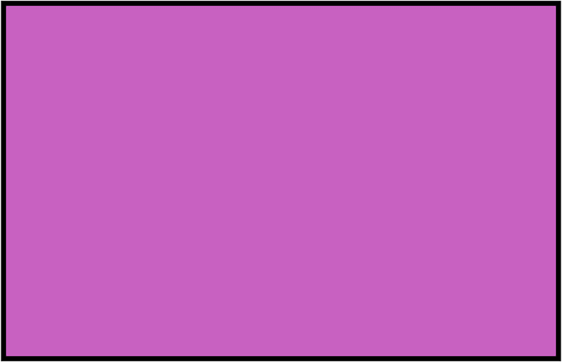 Magenta Rectangle Fraction 1:1