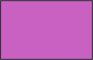 Magenta Rectangle Fraction 1:1