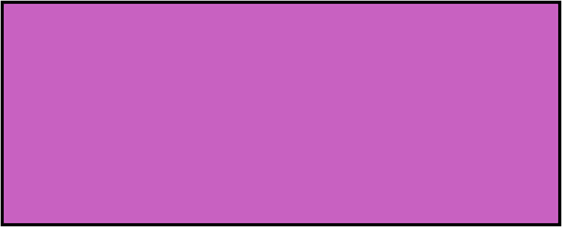 Magenta Rectangle Fraction 1:1