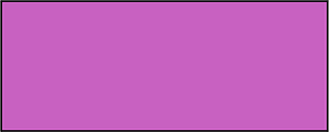 Magenta Rectangle Fraction 1:1