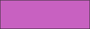 Magenta Rectangle Fraction 1:1