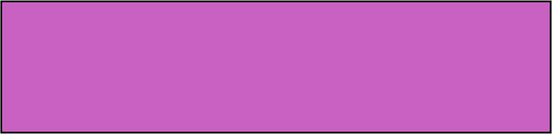 Magenta Rectangle Fraction 1:1