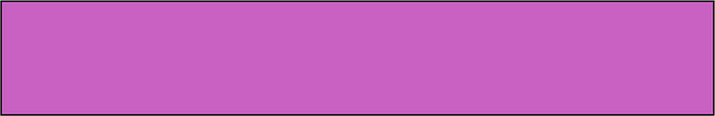 Magenta Rectangle Fraction 1:1