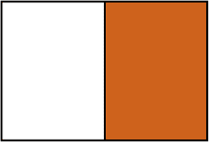 Orange-Brown Rectangle Fraction 1:2