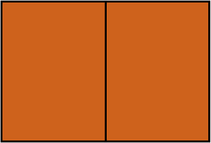 Orange-Brown Rectangle Fraction 2:2